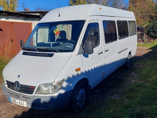 Mercedes Sprinter 313