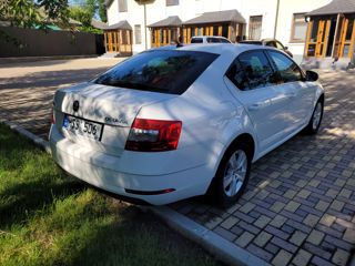 Skoda Octavia foto 5