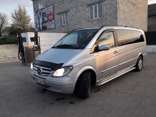 Mercedes Viano foto 5