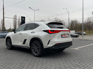 Lexus NX Series foto 3