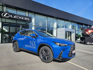 Lexus NX Series foto 6