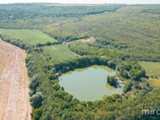 Se vinde teren agricol în or. Vadul lui Vodă! foto 10