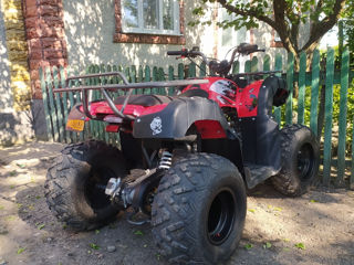 Boss ATV Hammer 180cc foto 3