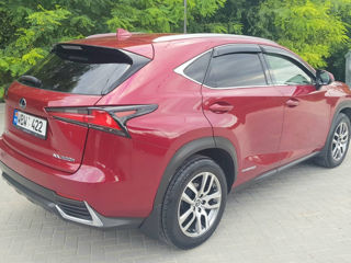 Lexus NX Series foto 4