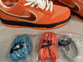 Nike SB Dunk Low Orange Lobster Unisex foto 5