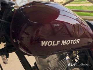 Wolf Motors foto 4