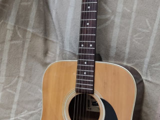 SX Dg195 N guitar Elit acoustic dreadnought concert instrument foto 5