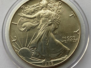 Монеты США Серебро foto 5