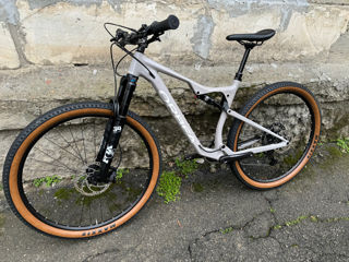 Orbea foto 4