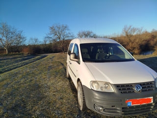 Volkswagen Caddy foto 5