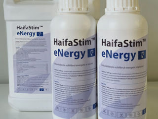 HaifaStim Energy / Haifa Chemicals Ltd.