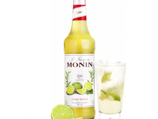 Sirop Lime Lămâie Verde Monin 1L PET Citric-Dulce Livrare Moldova