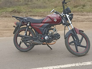 Alpha Moto Rx foto 3