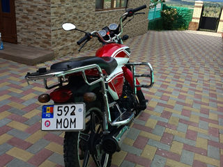 Alpha Moto RX foto 3