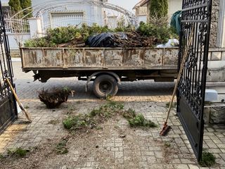 Evacuăm orice tipuri de gunoi. Hamali + Bobcat. foto 7