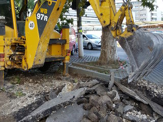 Servicii gidromolot,  excavator , bobcat foto 3