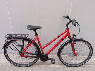 Pegasus   Solero  SL
