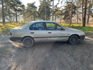 Nissan Primera foto 6