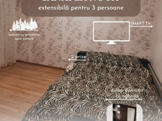 Apartament cu 1 cameră, 26 m², BAM, Bălți