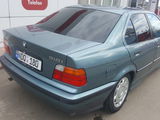 BMW 3 Series foto 4