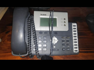 Ip telephone / ip телефон foto 3