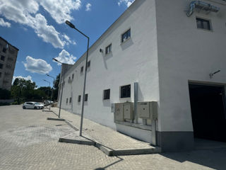 Spațiu comercial  / producere  / show room