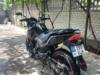 Viper  Magnum 250 фото 6
