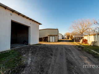 Se vinde spațiu comercial în s. Cobușca Veche, Anenii Noi, Moldova foto 2