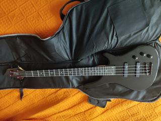 Bass Stagg foto 6