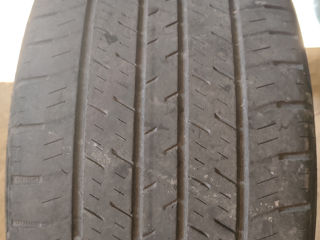 255/55 R17 Continental foto 2