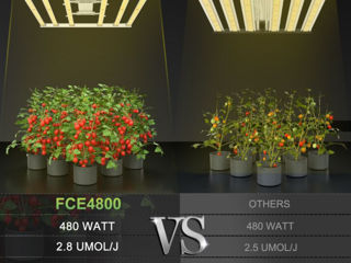 Светодиодный 480вт светильник для выращивания растений,LED Grow Light, foto 5