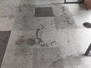 Curățarea mochetei in oficii, case, spații comerciale, etc.