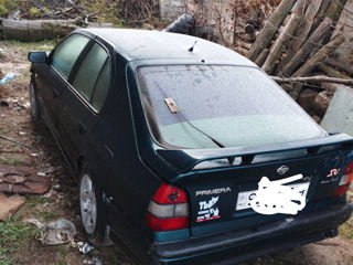 Nissan Primera foto 3