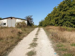 Аренда фото 1