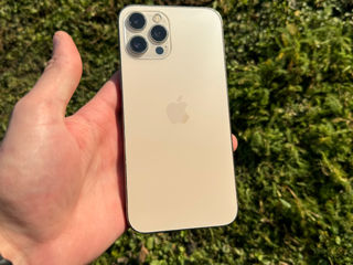 iPhone 12 Pro Max Gold