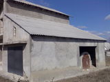 Urgent casa de locuit in Porumbeni foto 2