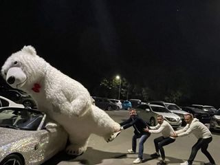 Поздравление с медведем 3,5 метра с музсопровождением.