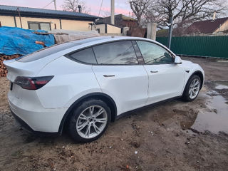 Tesla Model Y foto 5