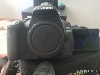 Canon D600 foto 6