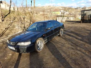 Honda Accord foto 8