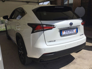 Lexus NX Series foto 3