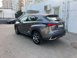 Lexus NX Series foto 6