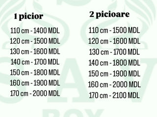Manechin lupte. foto 8