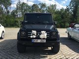 Chirie G - Class foto 6