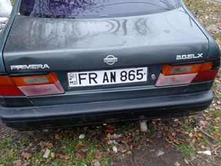 Nissan Primera foto 3