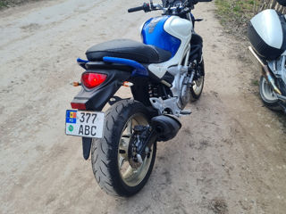 Suzuki Gladius foto 3