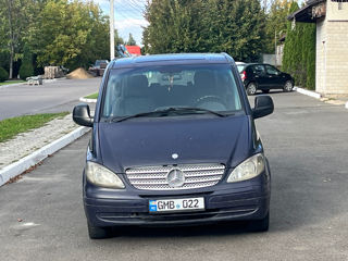 Mercedes Viano foto 2