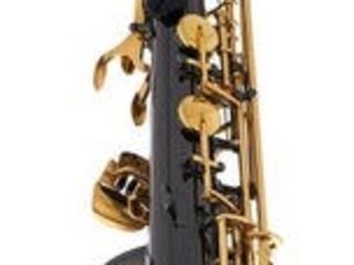 Saxofon Alto Thomann TAS-180 Black. Livrare în toată Moldova. Plata la primire. foto 7