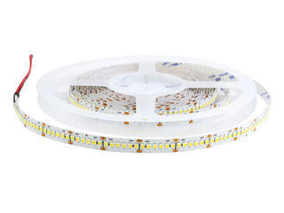 Bandă LED 16 W/m, 24V, IP20, 6500K (2835, 180 diode/m, 5m) Banda LED 16 W/m, 24V, IP20, 6500K (2835,