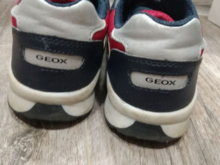 Кроссовки Jeox, 37 размер foto 5
